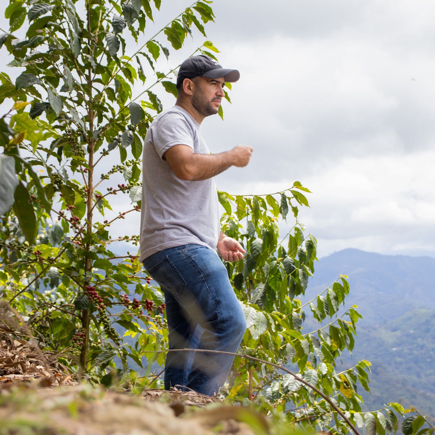 Colombia Red Gesha - washed